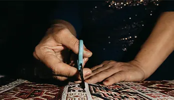 Pet Stain and Odor Removal